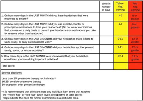 what is msq|msq physical therapy.